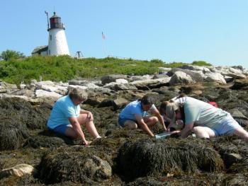 Teachers during an intertidal study. Courtesy of Elaine Jones