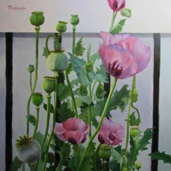 Poppies by Liliana Thelander