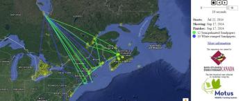 bird migration, nanotags
