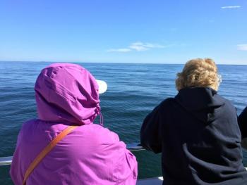 Passengers are on the lookout for whales. SUZI THAYER/Boothbay Register