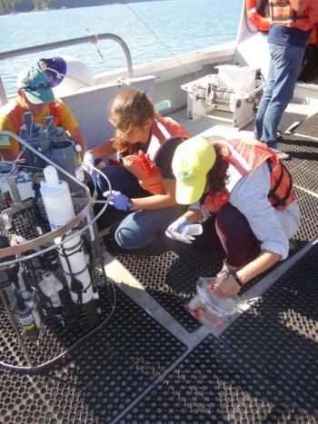 From left: Carl Huntsberger, Breanna Whittemore, and Whitley Gilbert fill sample bottles of water from the Damariscotta River that will be analyzed for different nutrients for their Estuarine Oceanography class. Courtesy photo