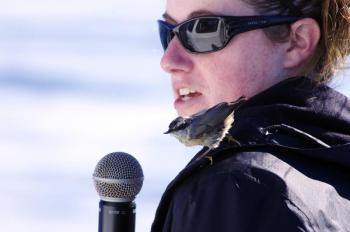 A nuthatch perches on narrator Nori Mcleod’s shoulder during the Oct. 5 trip. Courtesy of Gwyn Williams