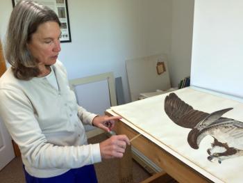 Terry Marsh at work. SUZI THAYER/Boothbay Register