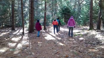 Shinrin Yoku walkers enter the forest in Porter Preserve. MORGAN CALLAN ROGERS/Boothbay Register MORGAN CALLAN ROGERS/Boothbay Register