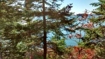 A view of the Sheepscot River from Porter Preserve on Barters Island. MORGAN CALLAN ROGERS/Boothbay Register MORGAN CALLAN ROGERS/Boothbay Register