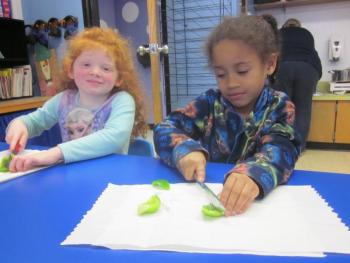 Beatrice and Xaviera, from Mrs. Spaulding’s Kindergarten class, are busy cutting up veggies for the feast! Courtesy of Lucy Ann Spaulding
