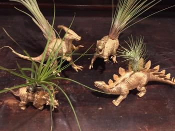 Golden dinosaur air planters by Alyce Paul Curiosities. SUZI THAYER/Boothbay Register