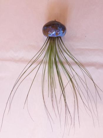 A jellyfish air planter by Alyce Paul Curiosities. SUZI THAYER/Boothbay Register