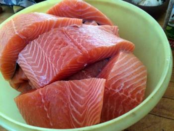 Raw salmon fillets ready for the brine. Courtesy of Jon Lewis