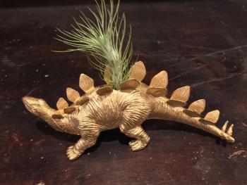 Golden stegosaurus air planter by Alyce Paul Curiosities. SUZI THAYER/Boothbay Register