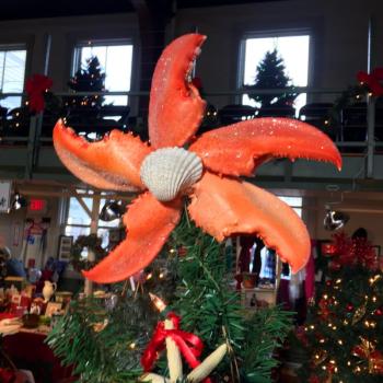 A lobster claw star made by Barbara Lally adorns the top of the Southport Library’s tree. SUZI THAYER/Boothbay Register