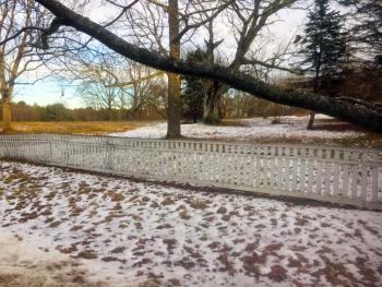 Fence. SUZI THAYER/Boothbay Register