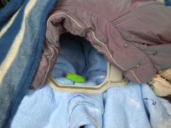 The cozy bed I’ve rigged up in my garage, in hopes of enticing the stray cat. SUZI THAYER/Boothbay Register