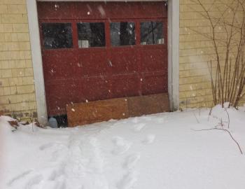 My garage where I’ve rigged up a warm bed and closed the door, leaving a small hole for the stray cat to get in. SUZI THAYER/Boothbay Register