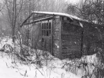 The abandoned shed a stray cat has been calling home for at least two years. SUZI THAYER/Boothbay Register
