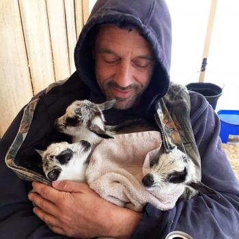 Seth Lewis and some newborn babies at Blue Tin Farm in Edgecomb. Courtesy of Crystal Lewis