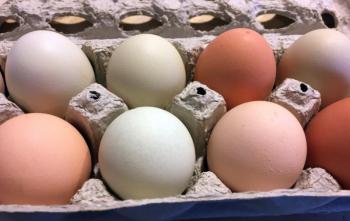 Some pretty eggs from Nell Tharpe’s cute little chickens. SUZI THAYER/Boothbay Register