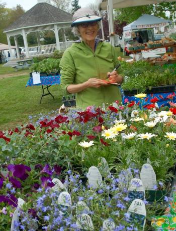 Stevie Hale of Boothbay helps out at the Goranson Farm stand. ART MAYERS/Boothbay Register