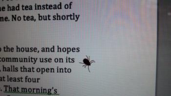 An adventurous tick that hitched a ride home. Do dress for your ramble. MORGAN CALLAN ROGERS/News Contributor