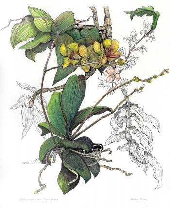 Maine artist Barbara Bean