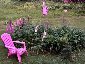 I love pink. SUZI THAYER/Boothbay Register