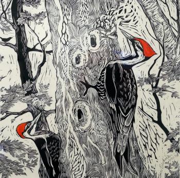 “Pileated Woodpecker,” by Siri Beckman. Courtesy of David Morgan