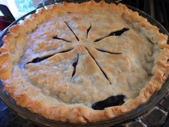 A warm blueberry pie. SUZI THAYER/Boothbay Register