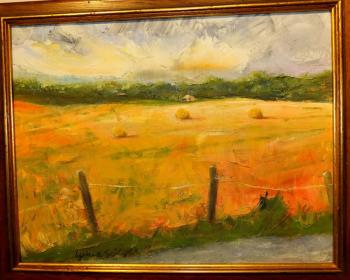 Lynne Seitzer