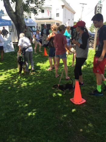Doggy musical chairs at the Mutt Scrub. JOSEPH CHARPENTIER/Boothbay Register