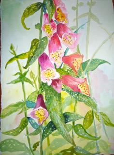 Virginia Forrest, Wiscasset ME artist