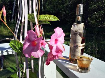 Cocktail hour on the deck: A cute little Heisey glass with Basil Heyden’s bourbon, a splash of blood orange bitters, and a few frozen blueberries. SUZI THAYER/Boothbay Register