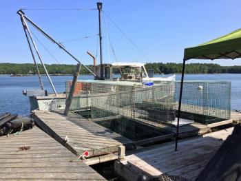 SUZI THAYER/Boothbay Register