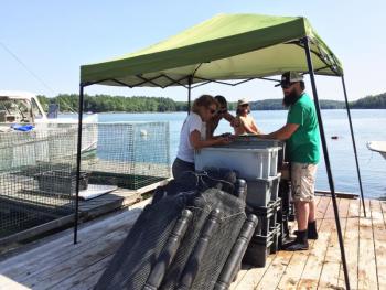 The team sifts and grades oysters at Glidden Point Oyster Farm.SUZI THAYER/Boothbay Register