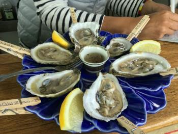An array of some of the different Damariscotta River oysters. SUZI THAYER/Boothbay Register