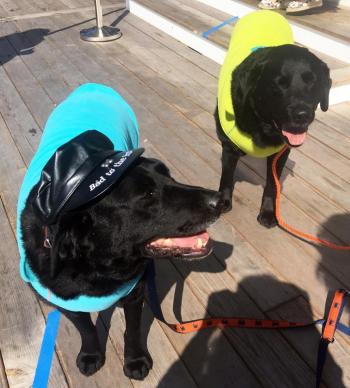 Two Salty Dogs dress up for Fishin’ for Fashion. SUZI THAYER/Boothbay Register