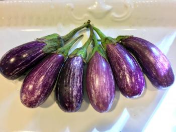 Fairytale eggplants. Cute, and pricey. SUZI THAYER/Boothbay Register