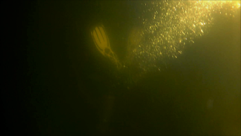 From three feet below the surface, Fuller descends. JOSEPH CHARPENTIER/Boothbay Register