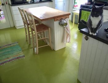 I spent a good part of my vacation painting the kitchen floor. SUZI THAYER/Boothbay Register