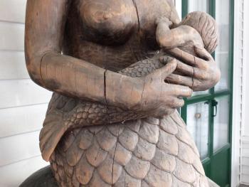 Close up of baby mermaid - or merman - William Royall, Southport, ME William Royall, Southport, ME
