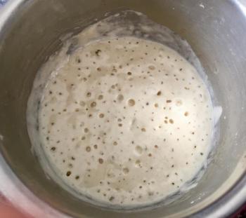 The preferment 24 hours and one manhattan later. SUZI THAYER/Boothbay Register