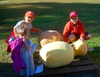 Growers James Sikorsky, 8, brother Matthew, 5, and sister Emily, 2, of Freeport. ART MAYERS/Wiscasset Newspaper