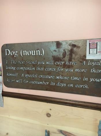 Boothbay Canine, Carole Jordan, dogs, kennel, business