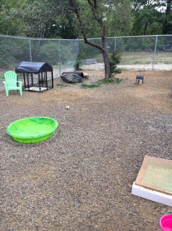 Boothbay Canine, Carole Jordan, dogs, kennel, business