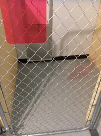 Boothbay Canine, Carole Jordan, dogs, kennel, business