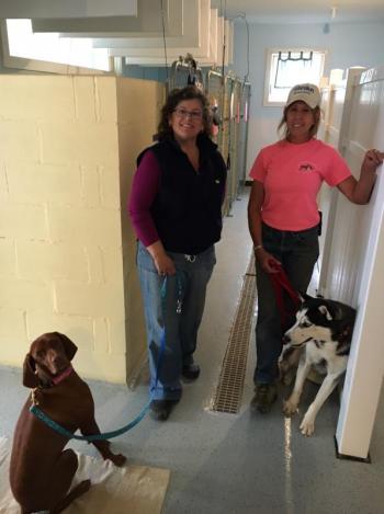 Boothbay Canine, Carole Jordan, dogs, kennel, business