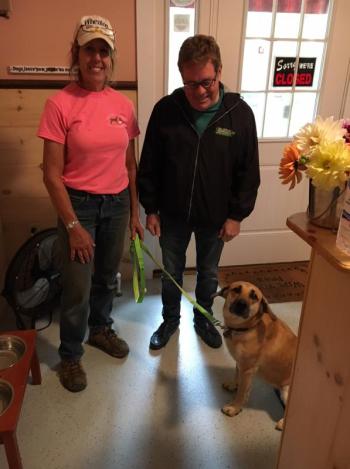 Boothbay Canine, Carole Jordan, dogs, kennel, business