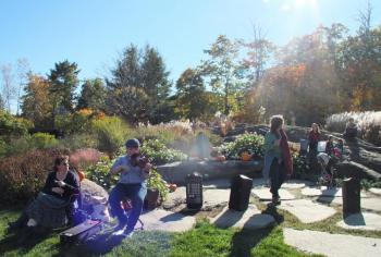A fiddler, sunshine, pumpkins ... a beautiful October day at CMBG. LISA KRISTOFF/Boothbay Register Coastal Maine Botanical Gardens