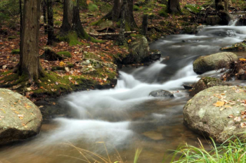 Jordan Stream in Acadia is one of the images by Bruce Burnham included in the Southport Memorial Library’s final show November through December. Courtesy of Bruce Burnham Bruce Burnham