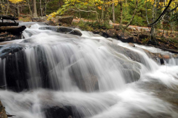 Jordan Stream in Acadia. Bruce Burnham photo Bruce Burnham