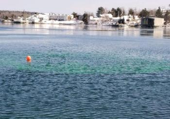 And here it is, the culmination of five years of hard work as green dye filters through the siphon into the ocean. Merritt Blakeslee photo